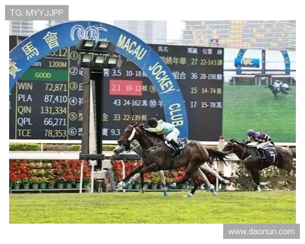 澳门赛马玩法怎么玩初学者必读的详细攻略